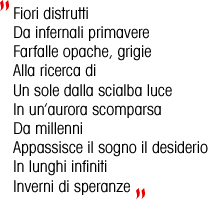 fiori distrutti da infernali primavere farfalle opache, grigie alla ricerca di un sole dalla scialba luce in un'aurora scomparsa da millenni appassisce il sogno il desiderio in lunghi infiniti inverni di speranze